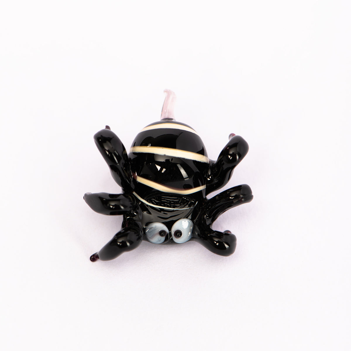 Glasmagnet Spinne