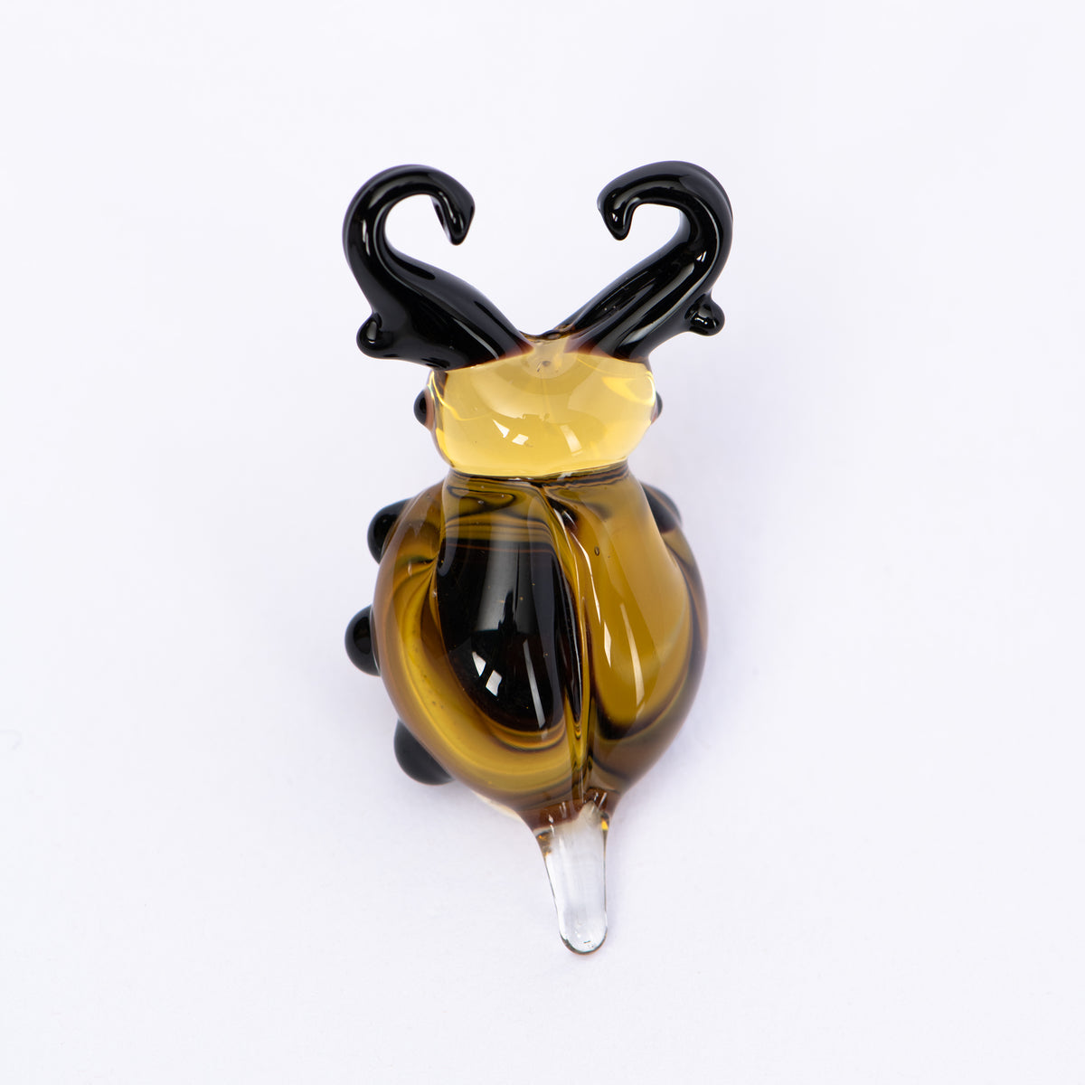 Glasmagnet Käfer