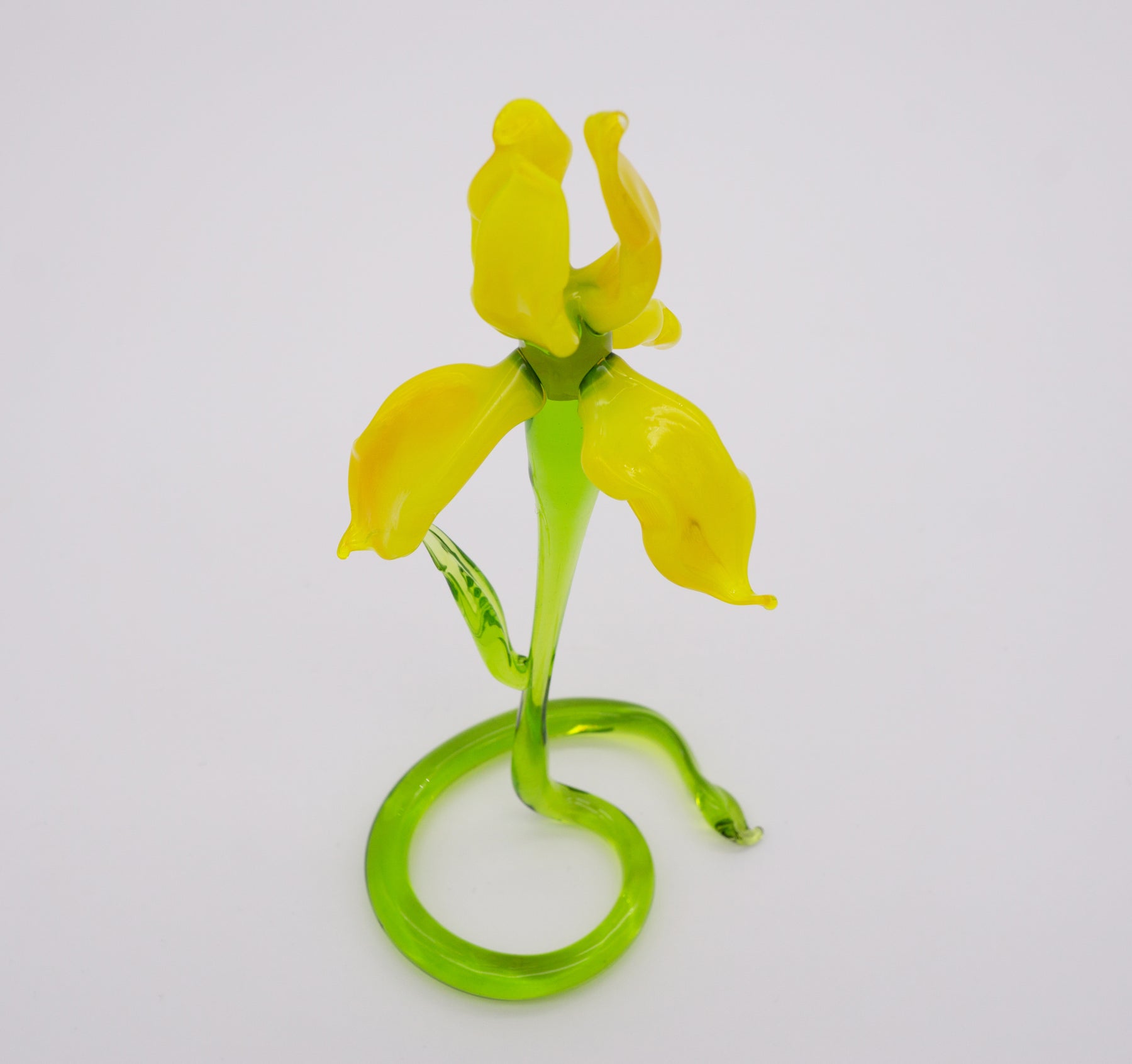 Gelbe Iris aus Glas