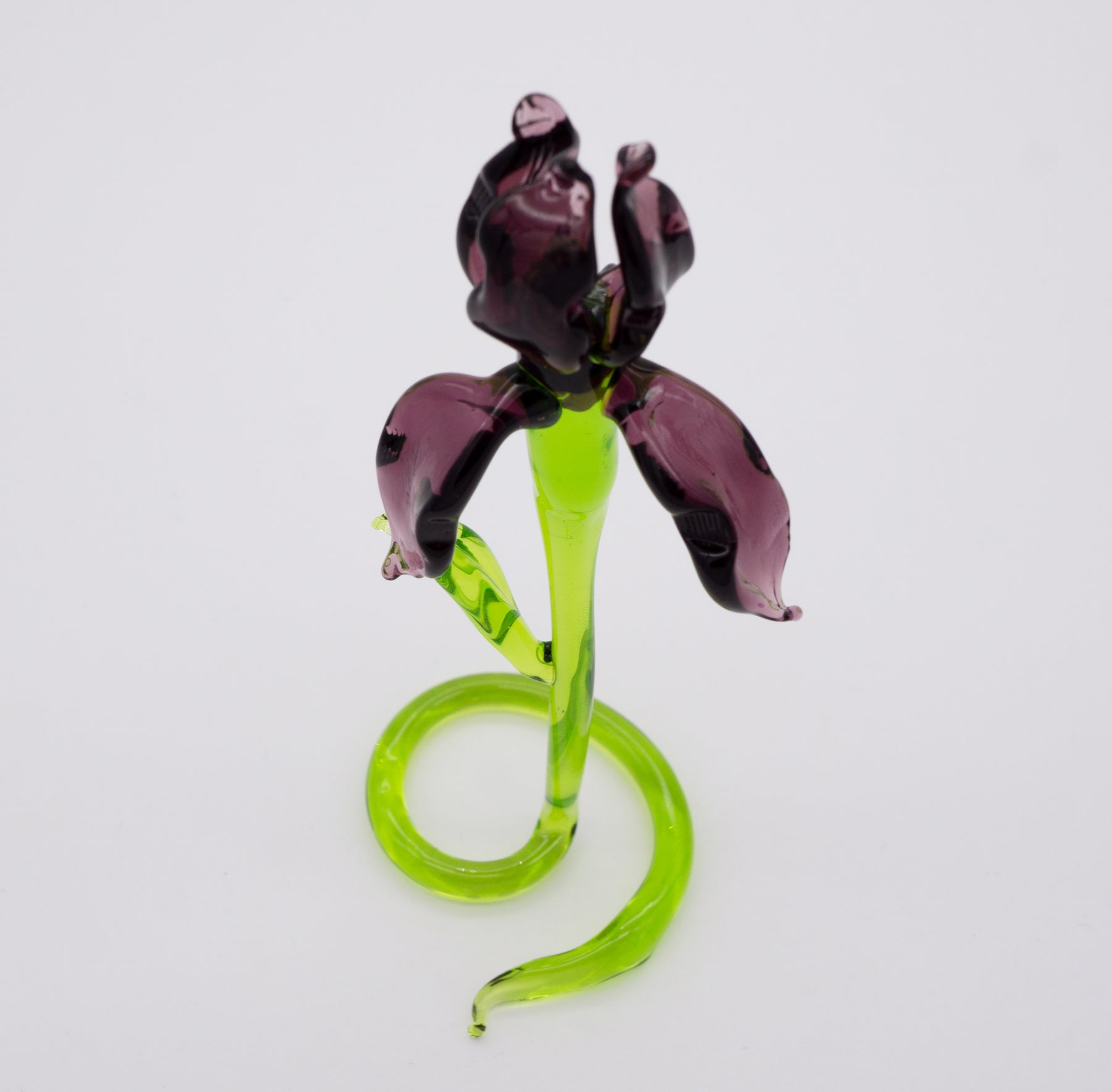 Lila Iris aus Glas