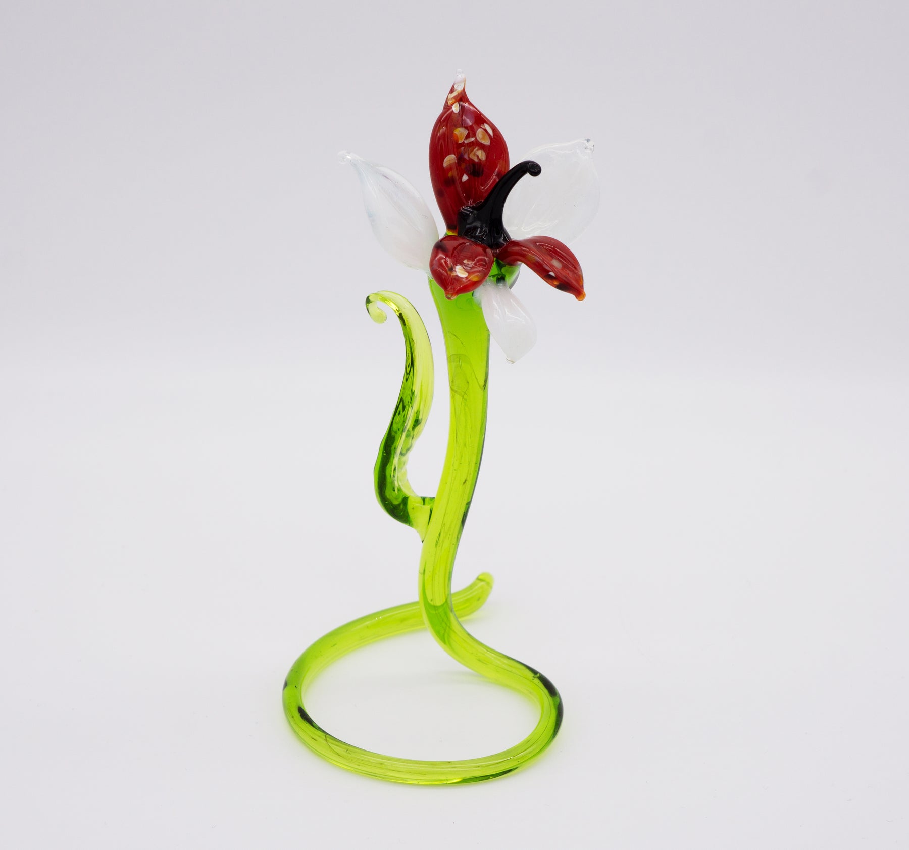Miltonia aus Glas weiß/rot