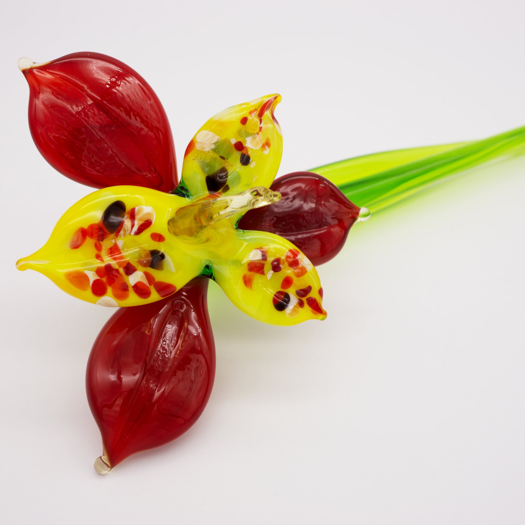 Rot gelbe Orchidee aus Glas