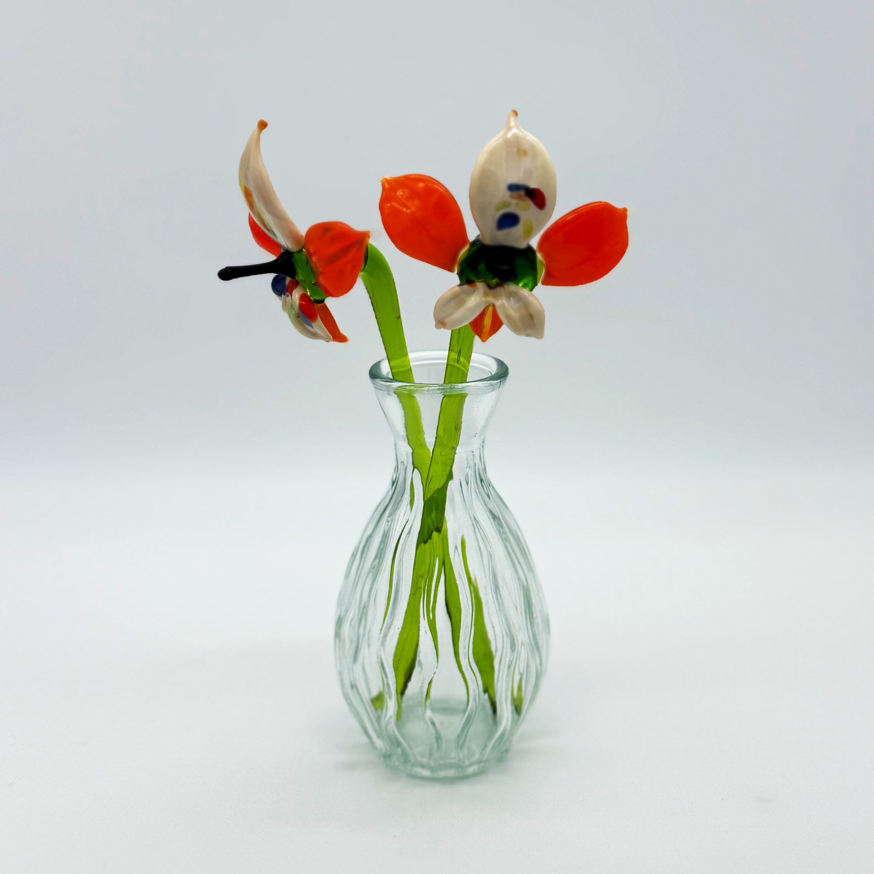 Glasblumen Set Orchidee