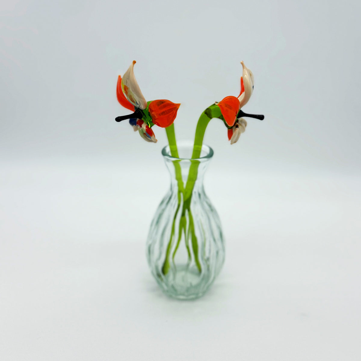 Glasblumen Set Orchidee