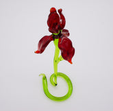 Rote Iris aus Glas