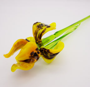 Getigerte gelbe Iris aus Glas