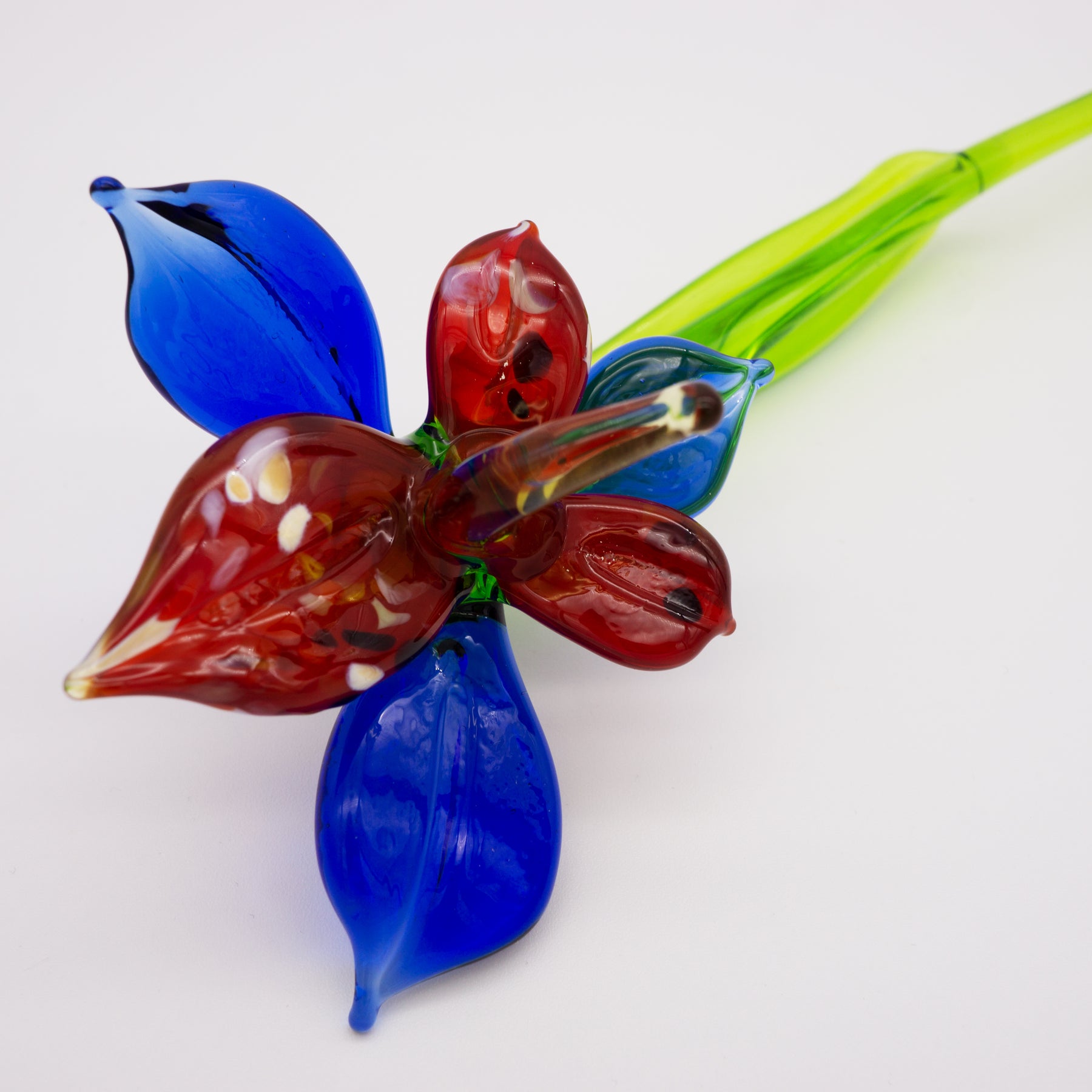 Blau und rote Orchidee aus Glas